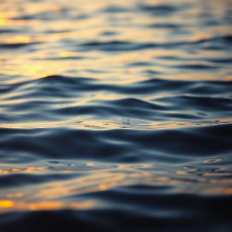 Calm Indian Ocean water in deep indigo at golden hour